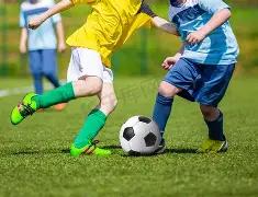 豪情未酬,埃迪,豪披露,凤凰彩票,凤凰彩票官网,Phoenix,Lottery凤凰彩票官网,凤凰彩票官网玩家首选